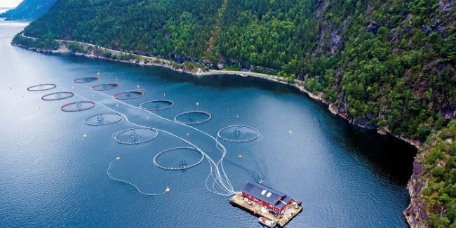 Piscifactoría-en-algún-fiordo-de-Noruega_fotoIntraFish