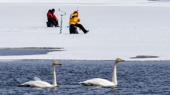 Primavera-en-Kemijärvi_fotoVisitKemijärvi