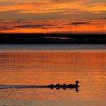 Ríos en Laponia (Foto HelloLapland)