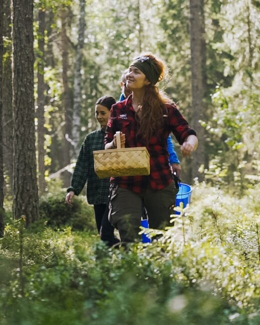 Recogiendo-bayas-en-el-bosque-alrededor-de-Apukka_fotoApukkaResort