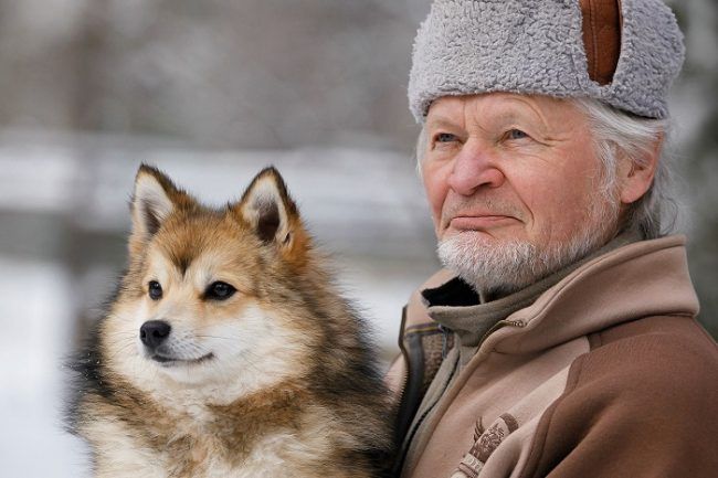 Reijo Jääskeläinen y uno de sus perros Spitz 