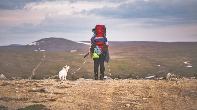 Ruta de Hetta a Pallas en buena compañía 