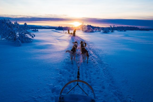 Safari con huskys en Enontekiö, muy cerca de Galdotieva