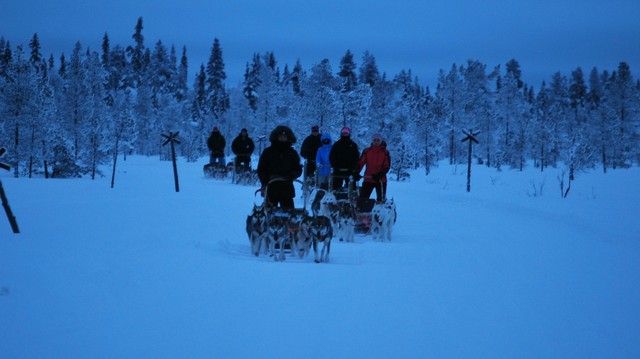 Safari con huskys Polar Speed