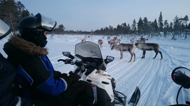 Safari con moto de nieve en los alrededores del lago Inari 