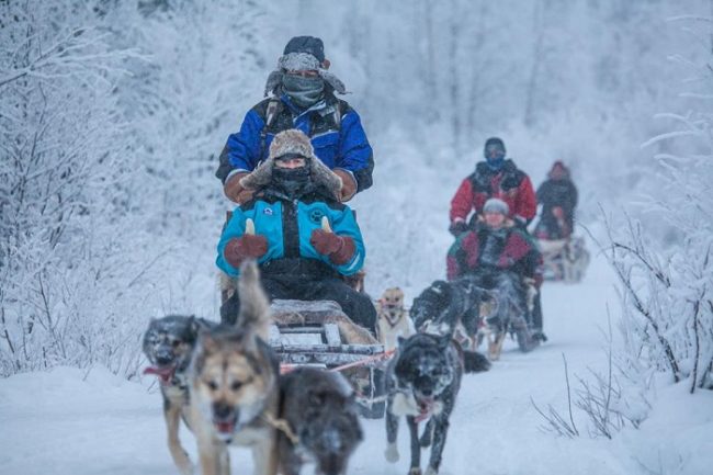 Safari con perros husky en Torassieppi