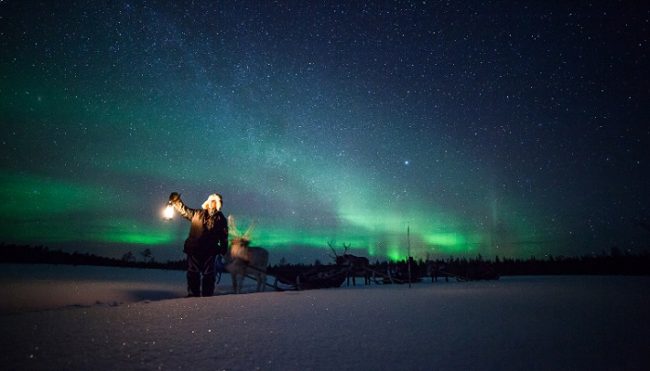 Safari con renos bajo la Aurora Boreal en Torassieppi 