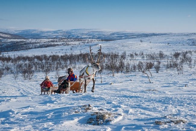 Safari con renos en la Tundra de Utsjoki