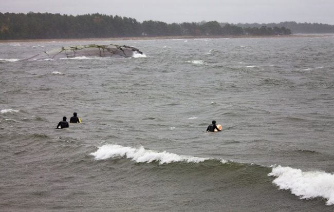 Surfistas en Hanko en Otoño esperando la ola buena 