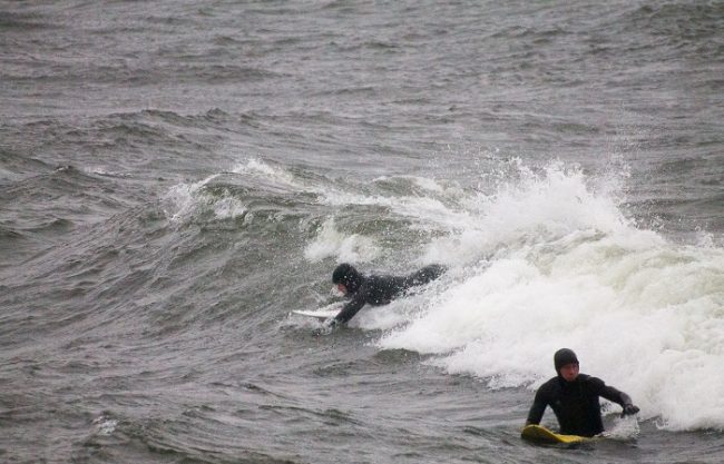 Surfistas en Hanko 