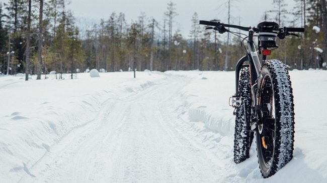 Durante el invierno también se puede practicar la FatBike en el Parque Nacional de Syöte 