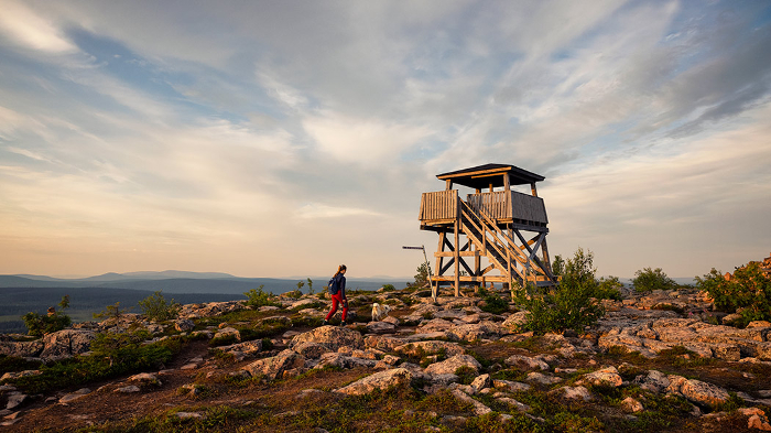 Torre-mirador-en-el-Parque-Nacional-de-Salla_fotoHarriTarvainen-NationalParks