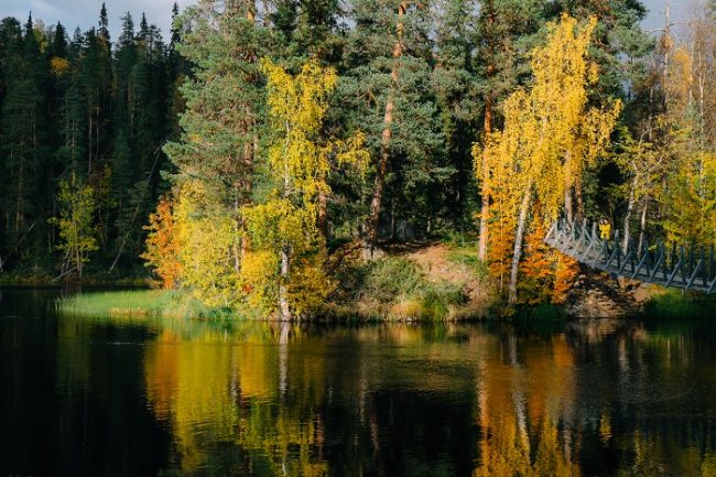 Tramo de la ruta Pieni Karhunkierros en otoño 