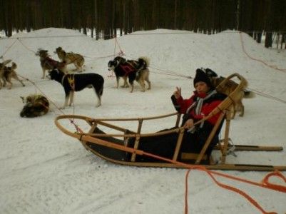 trineo-huskys-rovaniemi(1)