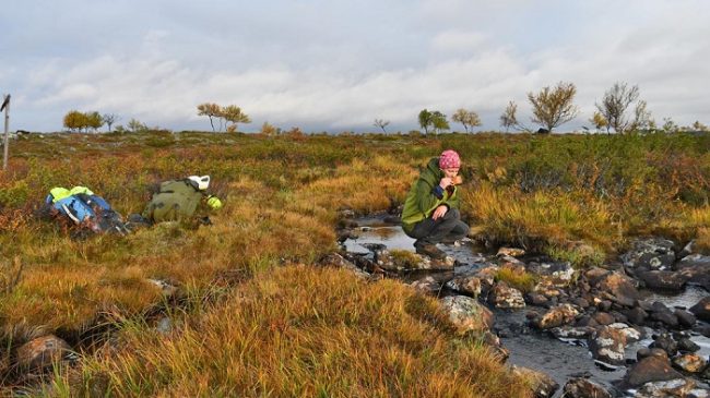 Un descanso en el Àrea Natural de Kaldoaivi 