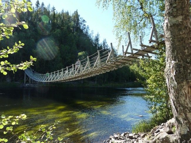 Uno de los muchos puentes colgantes de la ruta del oso, Laponia, Finlandia (Foto: Àlex Simòn)