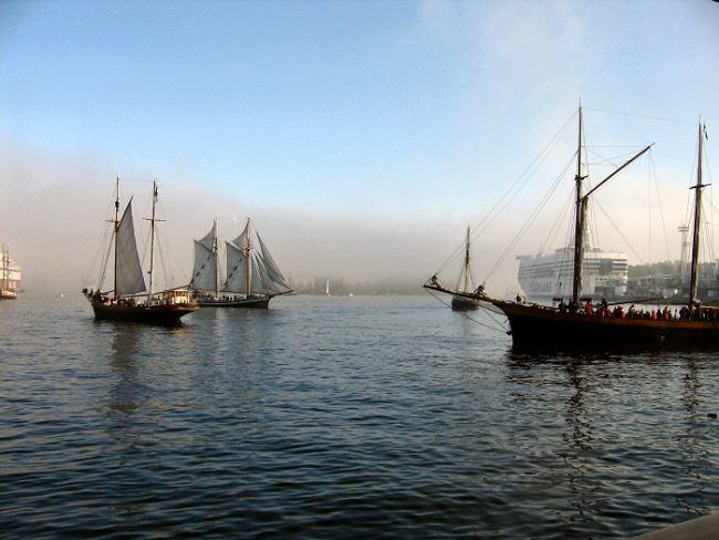 Veleros navegando en la costa de Helsinki 