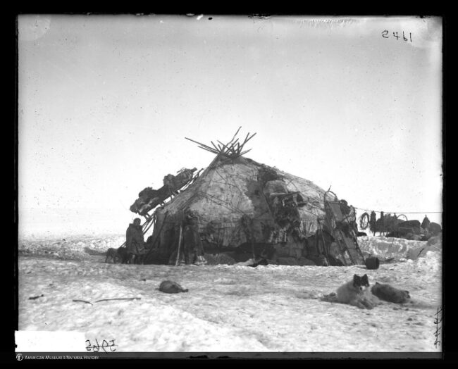 Yaranga-(tienda-Chukchi)-y-husky-siberiano-en-1901_fotoWaldemarBogoras-Wikipedia