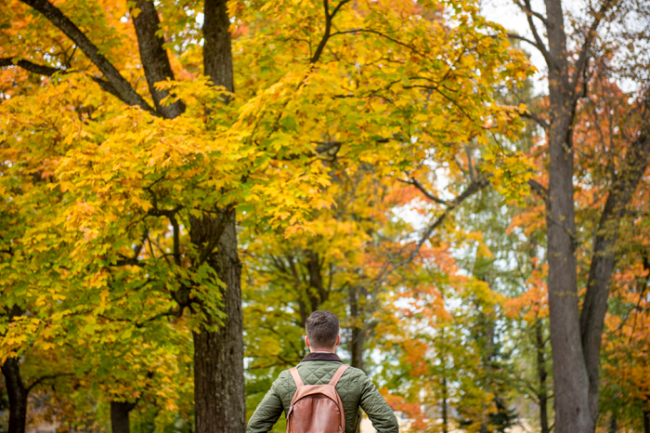 Admirando-la-ruska-el-otoño-en-Laponia_fotoMarkusSommers-VisitFinland