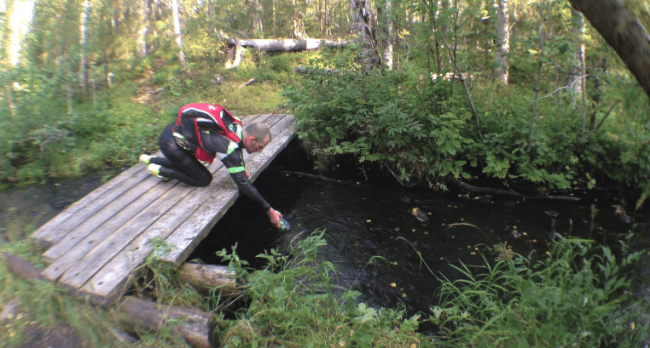 Rellenando el agua directamente de un arroyo en la Ruta del Oso, Finlandia.